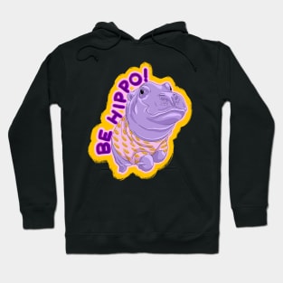 Be Hippo, Be happy! Hoodie